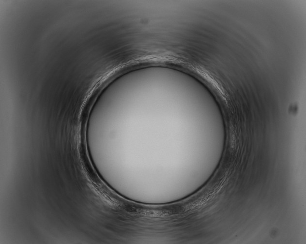 X0000100940486200806241206