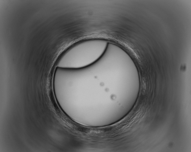 X0000100940487200806241206