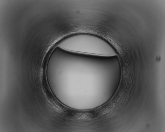 X0000100940488200806241206