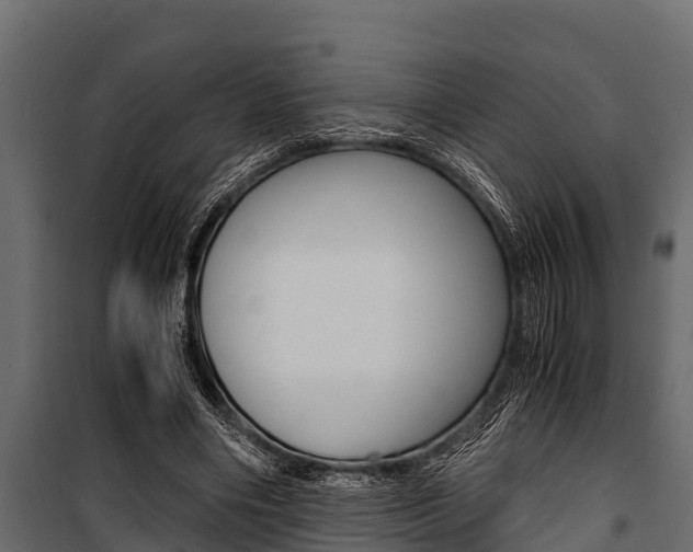 X0000100940490200806241206