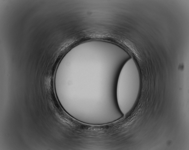 X0000100940491200806241206