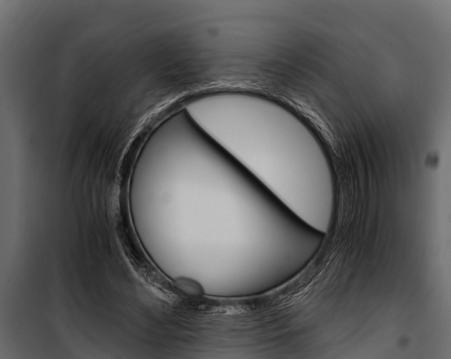 X0000100940492200806241206