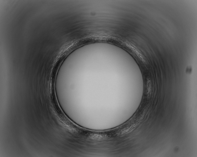 X0000100940494200806241206