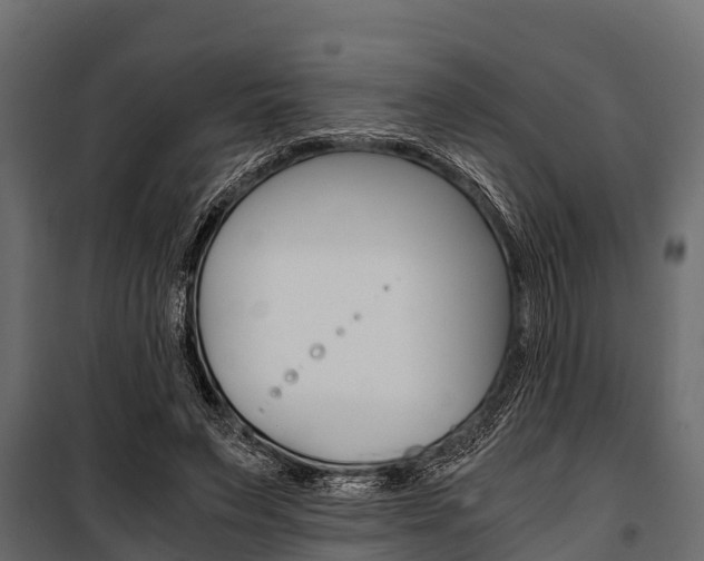 X0000100940495200806241206