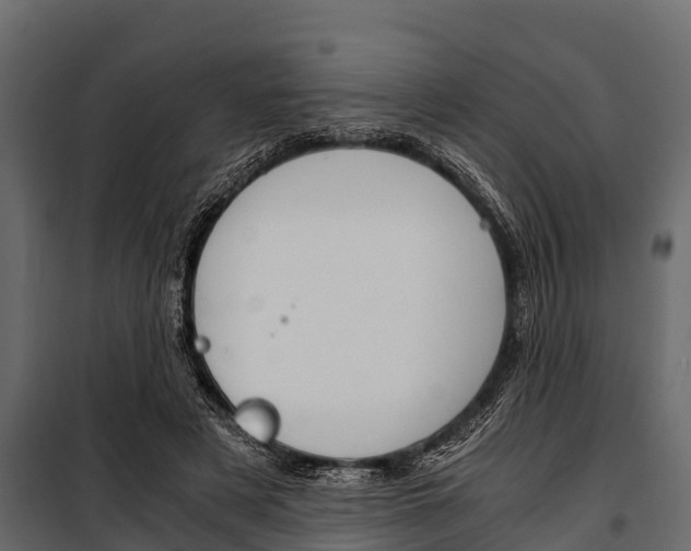 X0000100940497200806241206