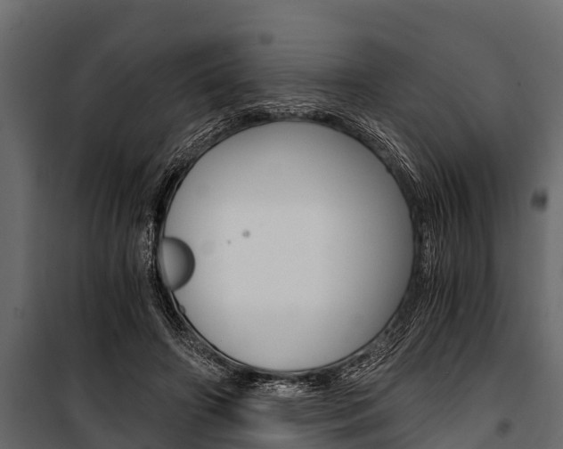 X0000100940498200806241206