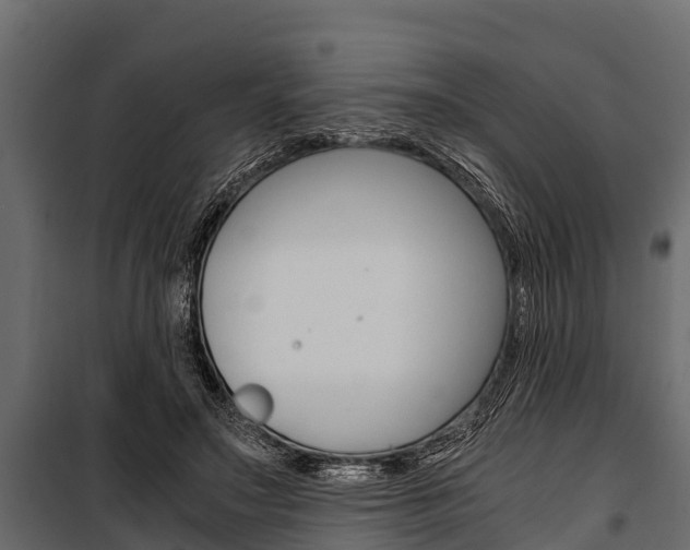 X0000100940499200806241205