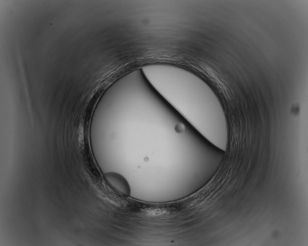 X0000100940500200806241205