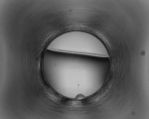 X0000100940501200806241205