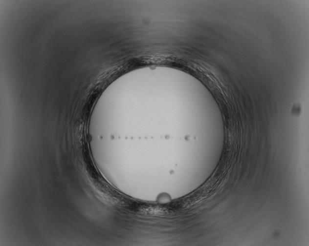 X0000100940503200806241205