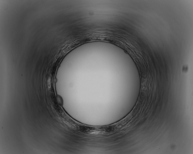 X0000100940504200806241205