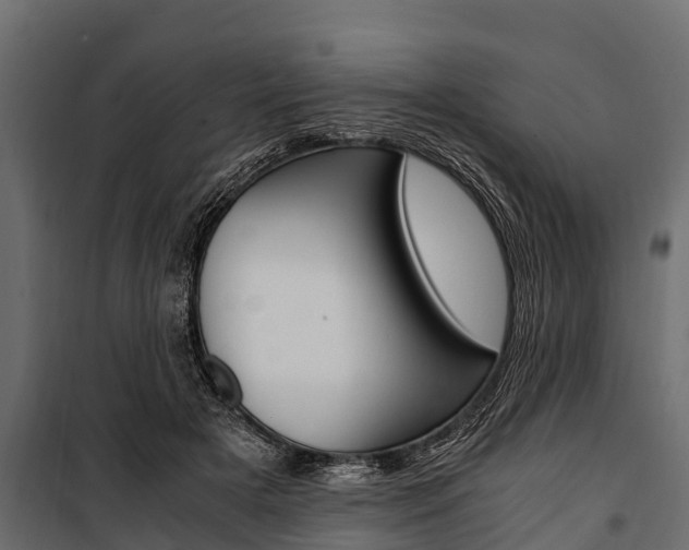 X0000100940505200806241205