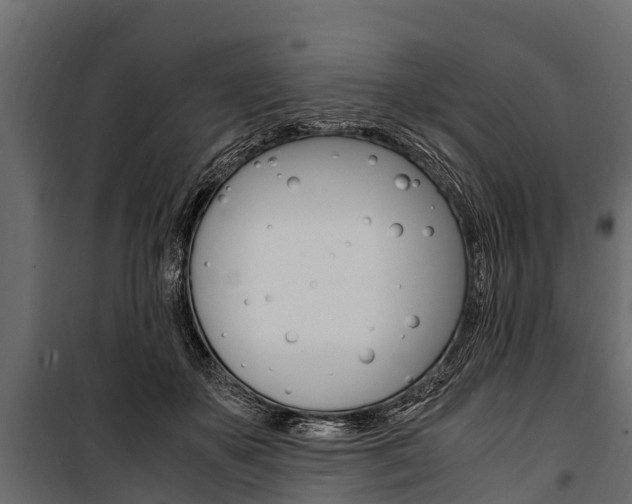 X0000100940507200806241205
