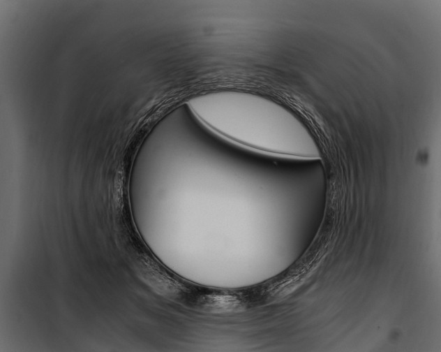 X0000100940509200806241205