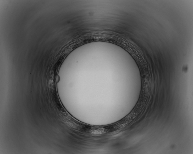 X0000100940510200806241205