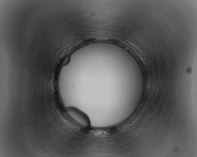 X0000100940512200806241205