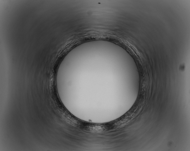 X0000100940513200806241205