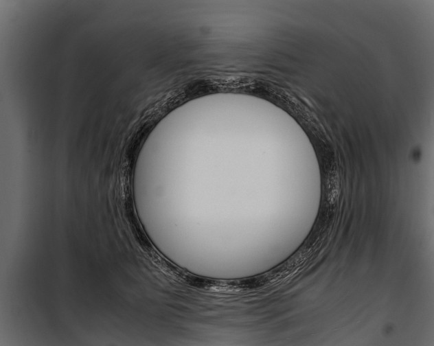 X0000100940515200806241205