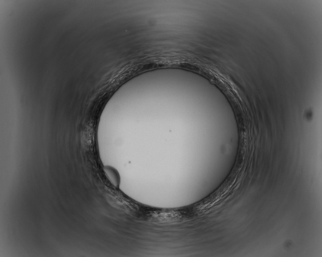 X0000100940517200806241205