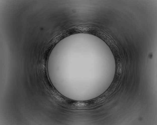 X0000100940518200806241205
