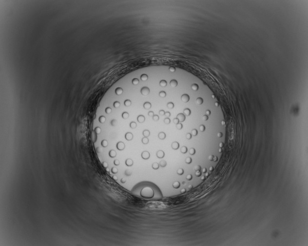 X0000100940519200806241205