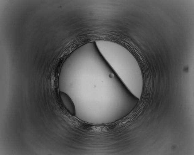 X0000100940520200806241205