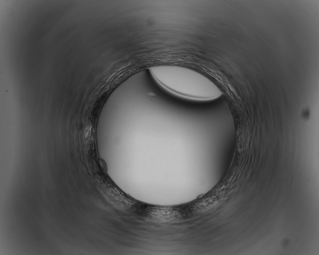 X0000100940521200806241205