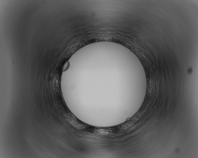 X0000100940522200806241205