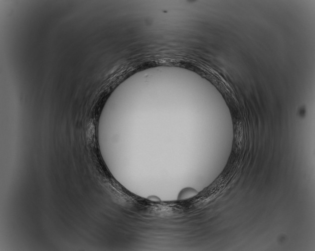 X0000100940523200806241205