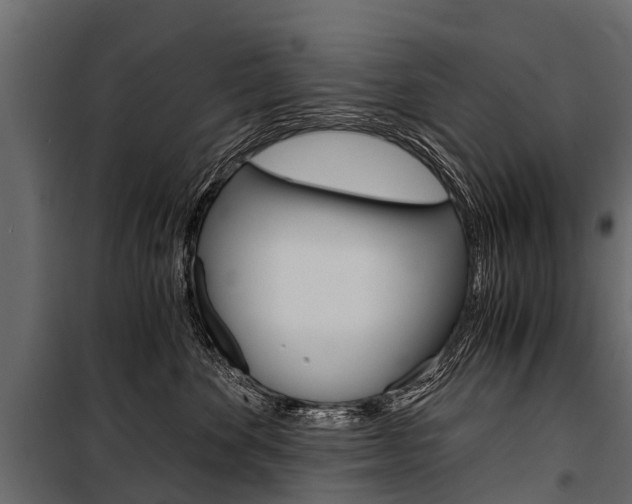 X0000100940524200806241205