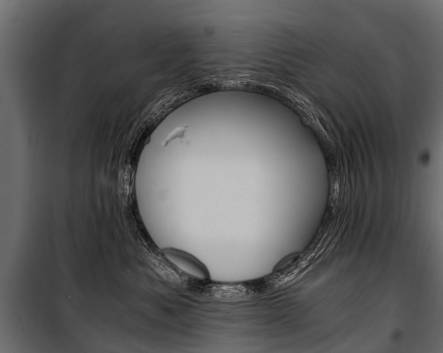 X0000100940525200806241205
