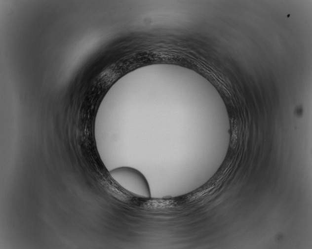 X0000100940526200806241205
