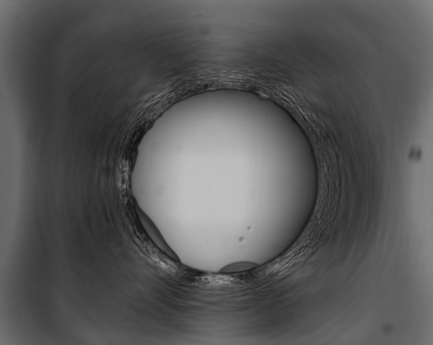 X0000100940528200806241205