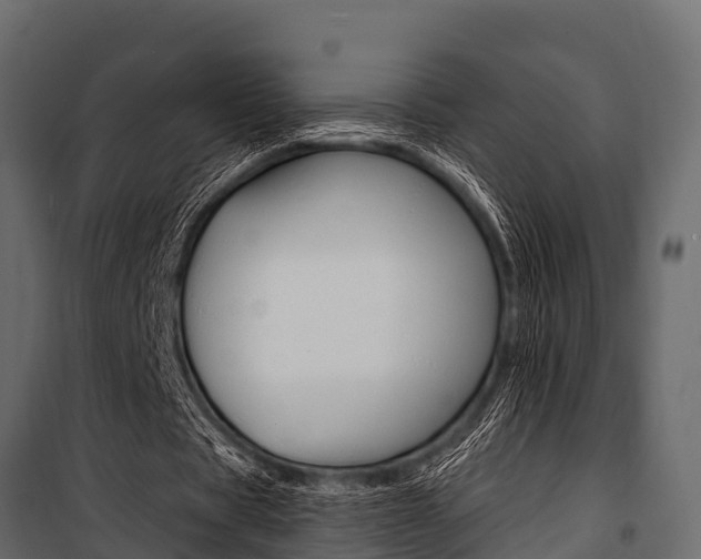 X0000100940529200806241204