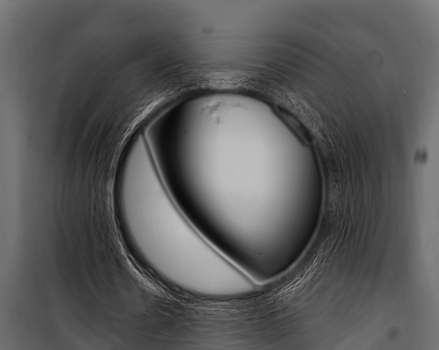 X0000100940530200806241204