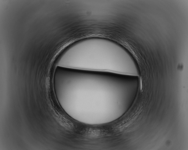 X0000100940531200806241204