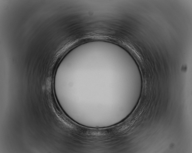 X0000100940533200806241204