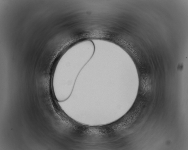 X0000100940534200806241204