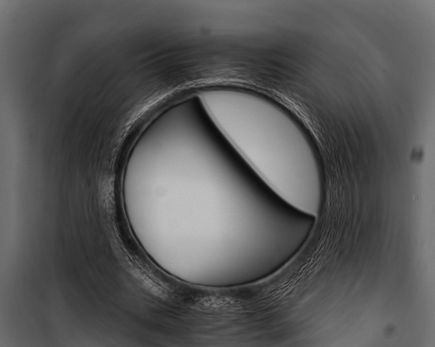 X0000100940535200806241204