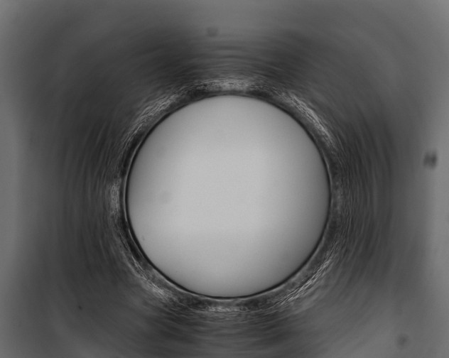 X0000100940537200806241205