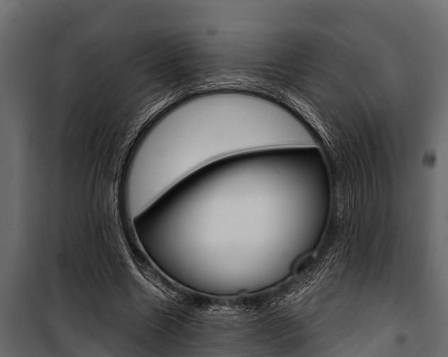X0000100940538200806241205