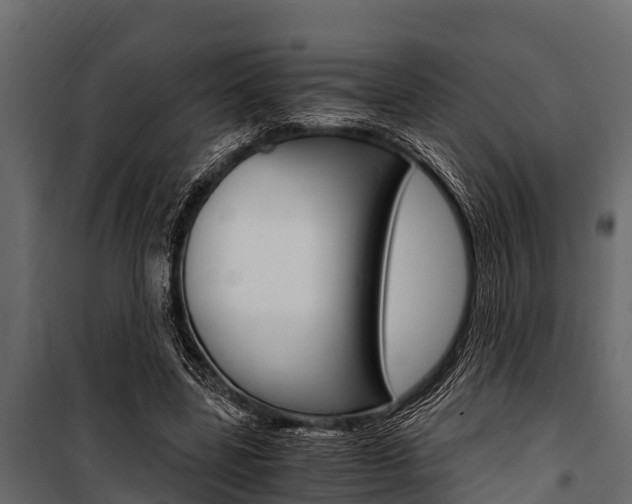 X0000100940539200806241205