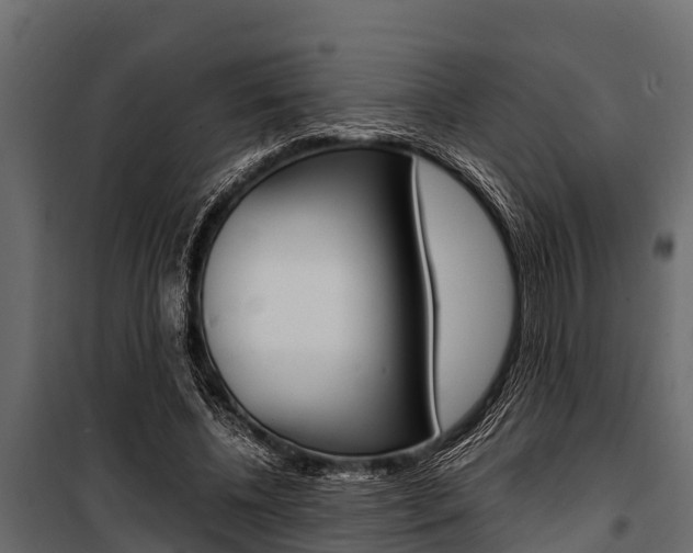 X0000100940540200806241205