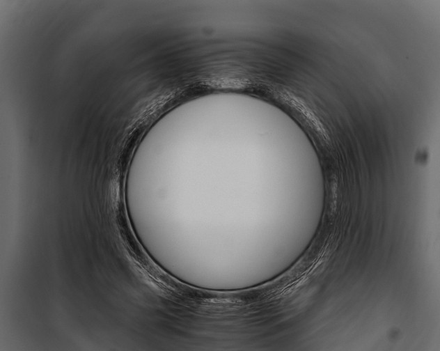 X0000100940541200806241205
