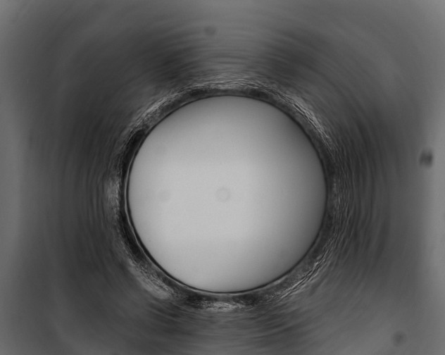 X0000100940542200806241205