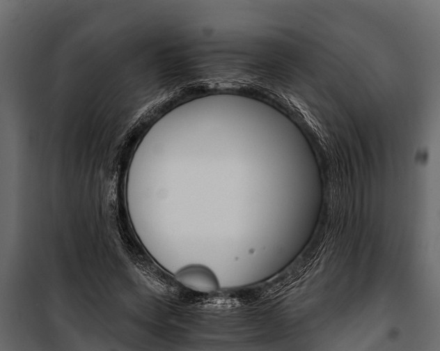 X0000100940543200806241205
