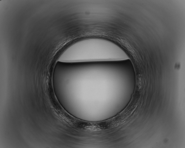 X0000100940544200806241205