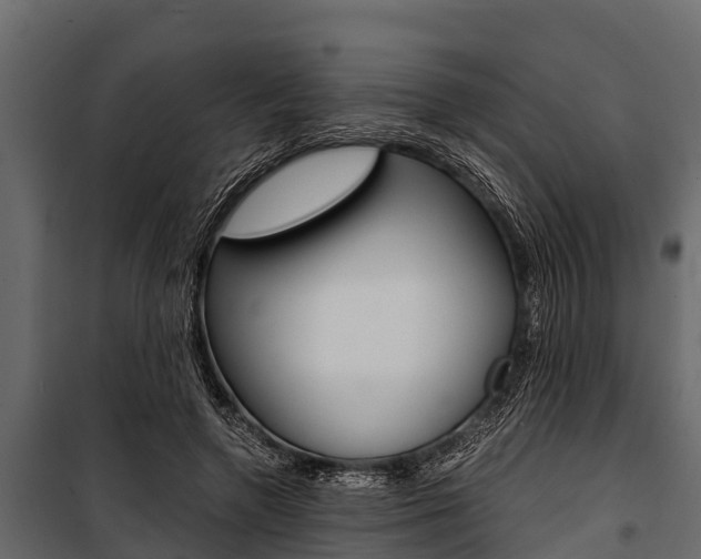 X0000100940546200806241205