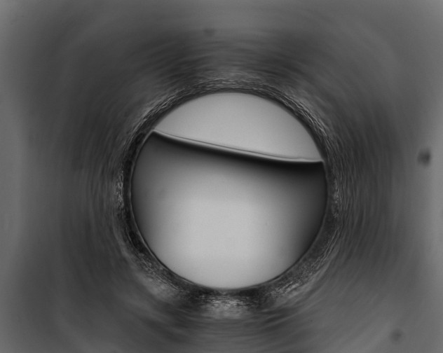 X0000100940547200806241205