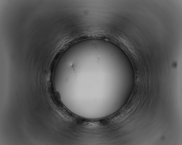 X0000100940548200806241205